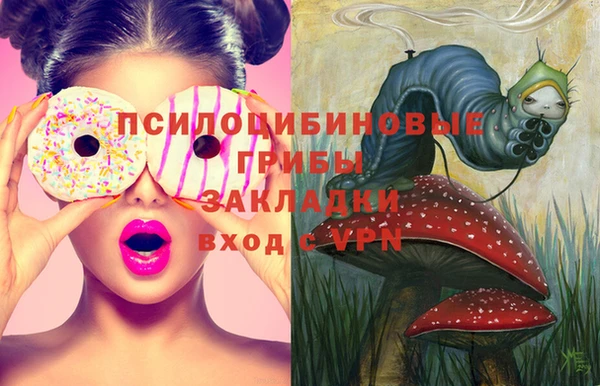 дурь Пестово
