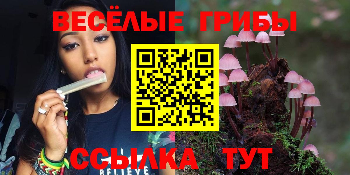 Псилоцибиновые грибы Psilocybine cubensis Казань
