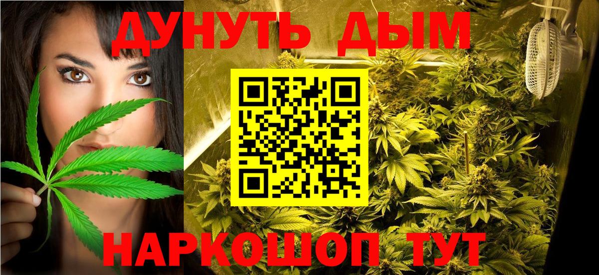 Шишки марихуана OG Kush  Бошки марихуана семена  Канабис планчик  Казань  Вход с VPN  Канабис THC 21% 